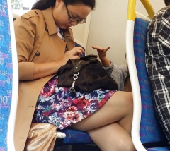 Candid Street Pantyhose -Tights #015 - Asian on the Train - N