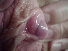 Pussy lips and clit - N