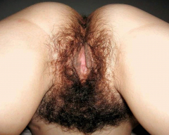 Such attractive hairy ass - N
