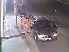 Couple fucking was captured by camcorder within the road